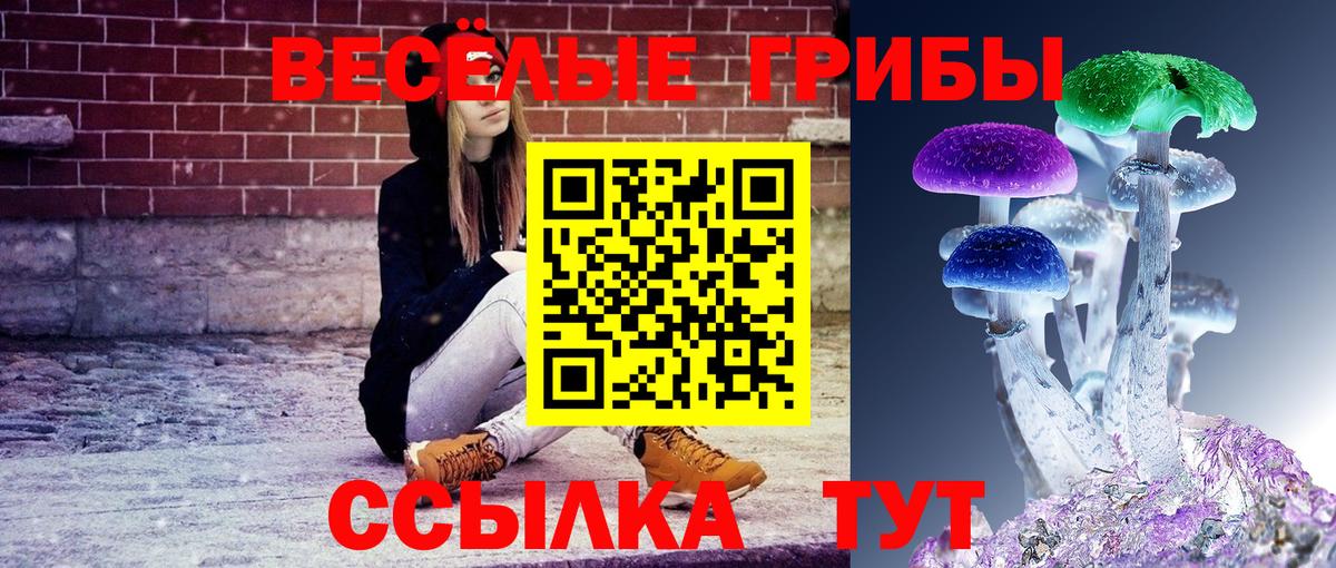 Псилоцибиновые грибы Сарапул