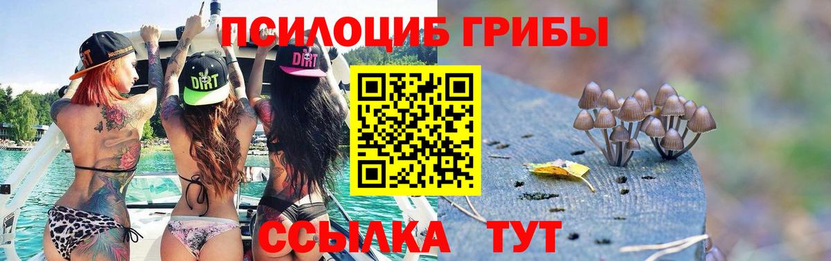 Галлюциногенные грибы Cubensis Сарапул