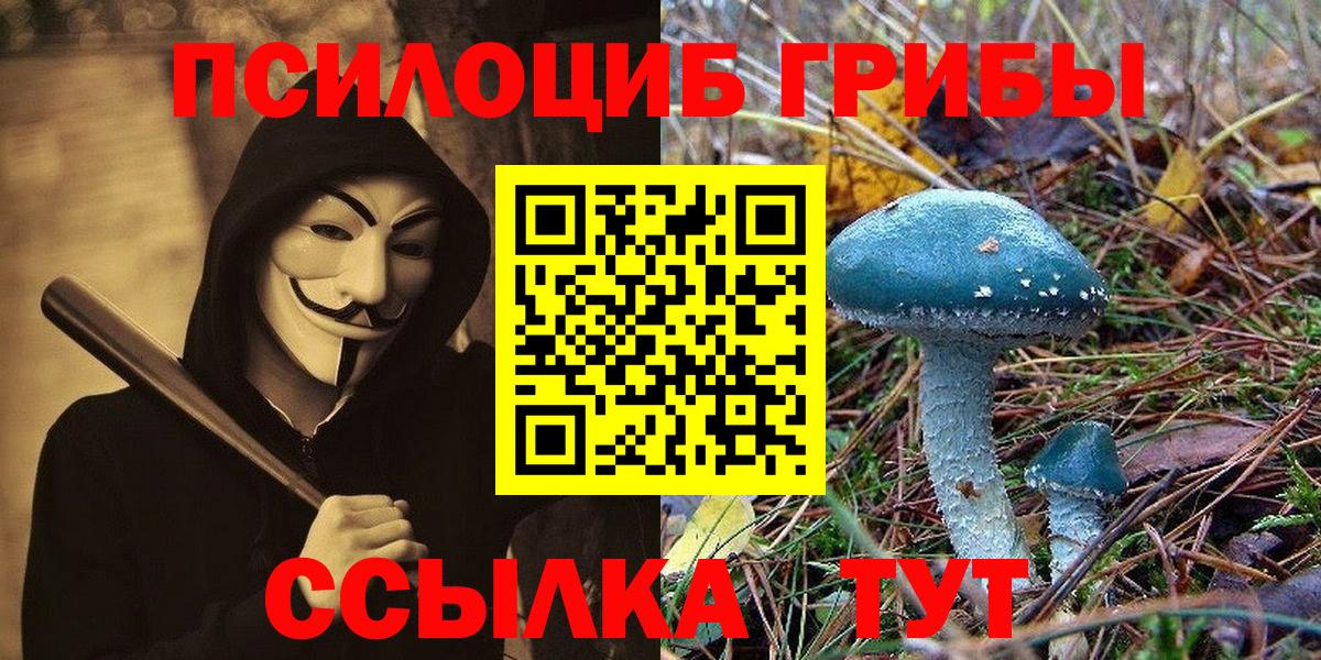Псилоцибиновые грибы GOLDEN TEACHER  купить  сайты  Галлюциногенные грибы мухоморы  Сарапул  Вход с VPN 